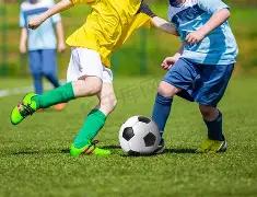 独家揭秘,期双色球号,码预测,山东体彩,山东体彩网,山东体彩网官网,体育彩票,体彩大乐透,竞彩足球,体彩公益