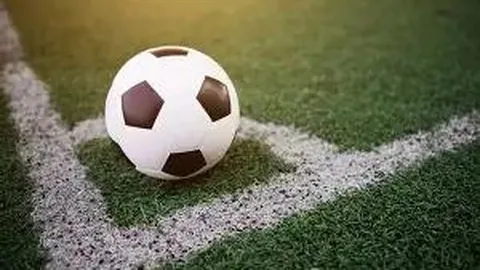 【海滨独门秘籍】2026020期3D号码预测：海滨精选胆码，每日必中秘码揭晓！