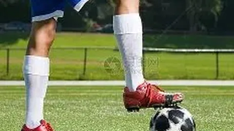 【揭秘】2026年2月20期彩票3D必中遗漏号码，独家胆码攻略，不容错过！